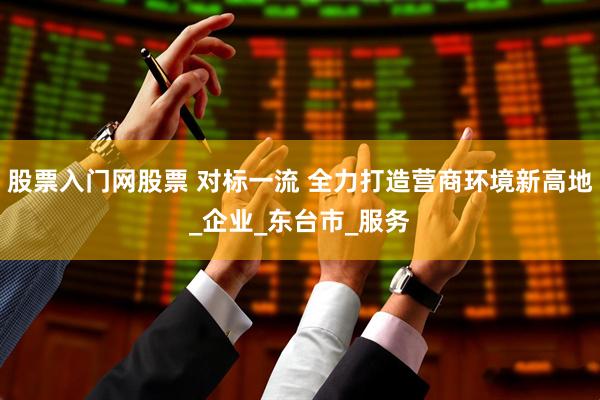 股票入门网股票 对标一流 全力打造营商环境新高地_企业_东台市_服务
