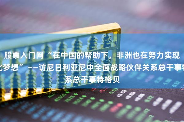 股票入门网 “在中国的帮助下，非洲也在努力实现现代化梦想” ——访尼日利亚尼中全面战略伙伴关系总干事特格贝